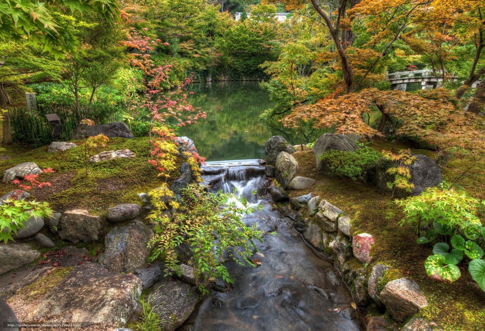 Japanese garden with waterfall
