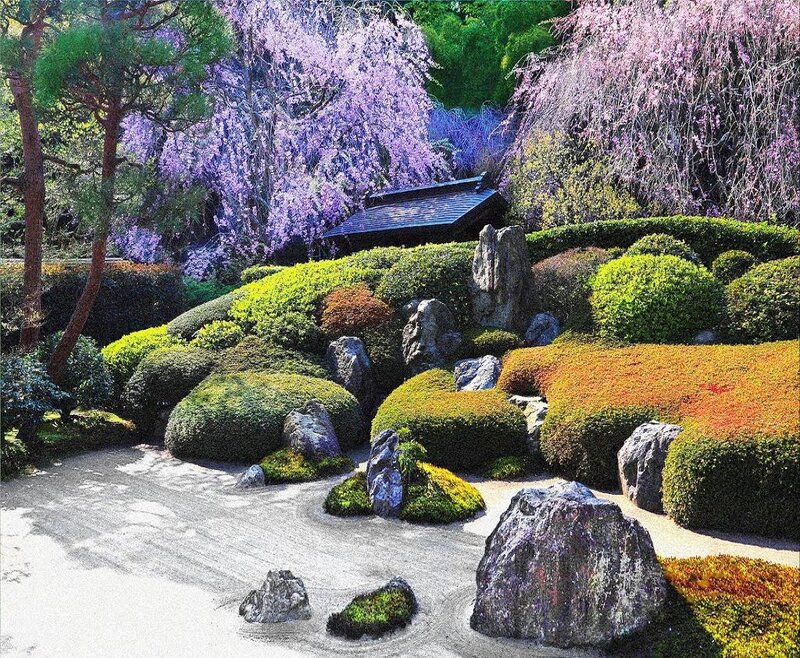 Japanese Garden with Wisteria