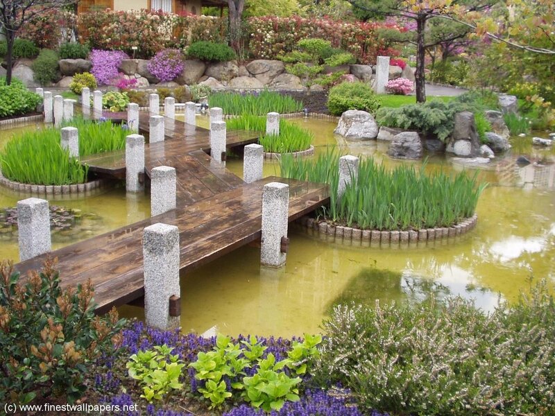 Japanese garden with wooden bridge