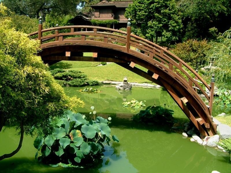 Japanese garden with wooden bridge