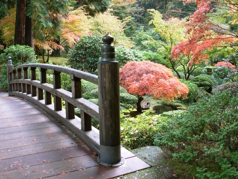 Japanese garden with wooden bridge