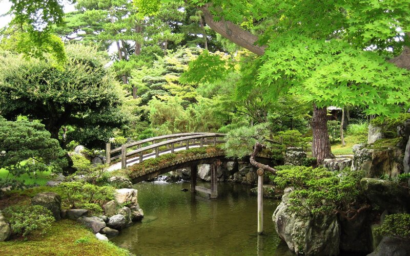 Japanese garden with wooden bridge
