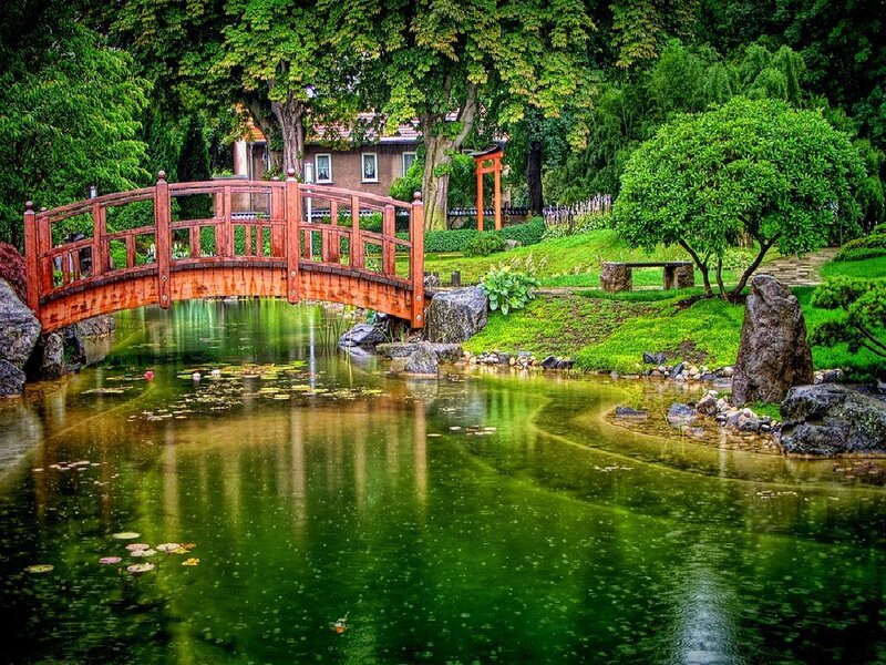 Japanese garden with wooden bridge