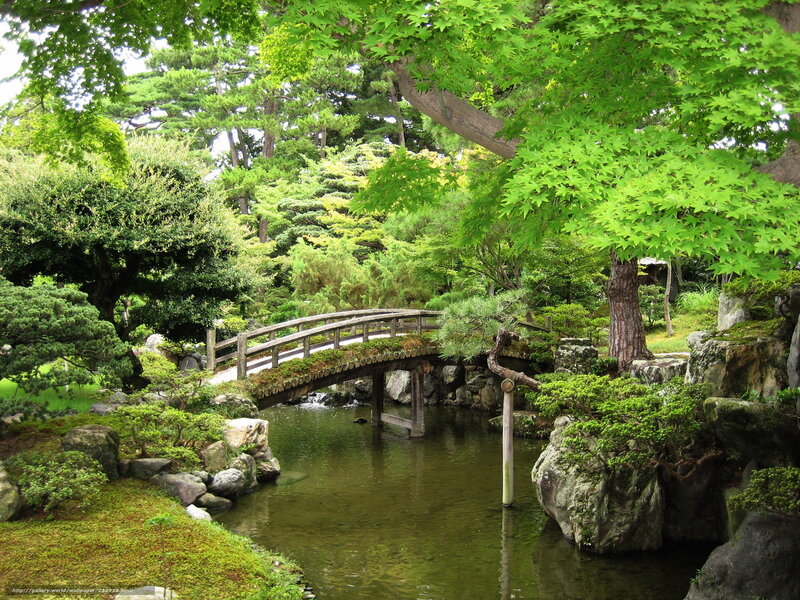 Japanese garden with wooden bridge