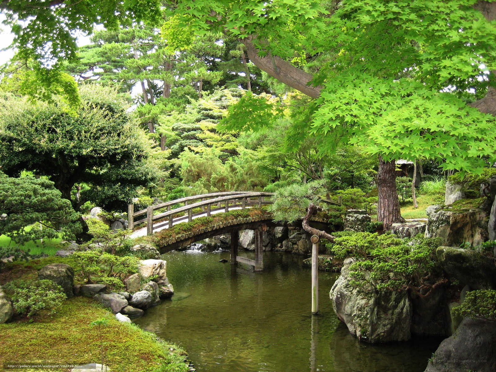 Japanese garden with wooden bridge