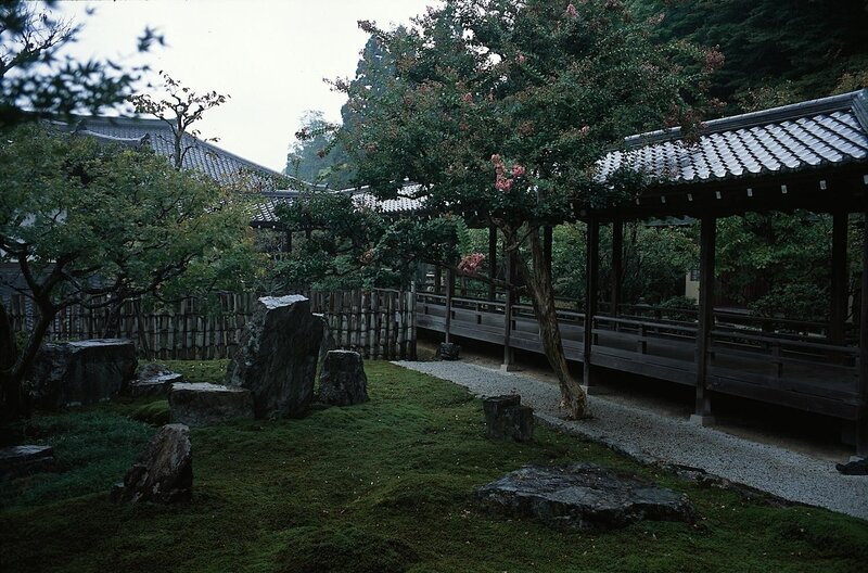 Japanese garden with wooden walkway