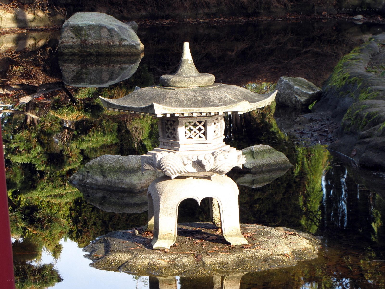 Japanese lantern in pond