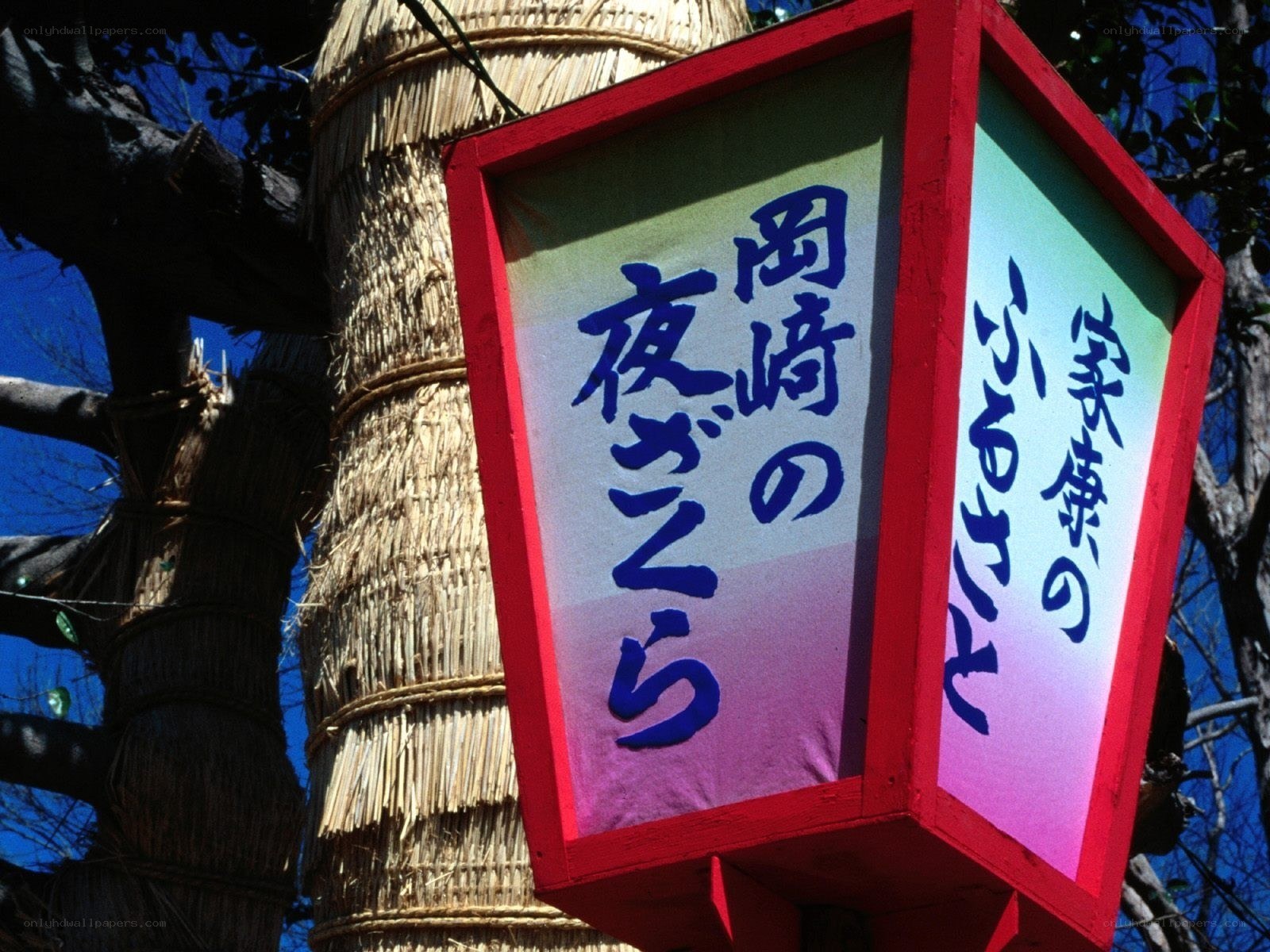 Japanese lantern with kanji text