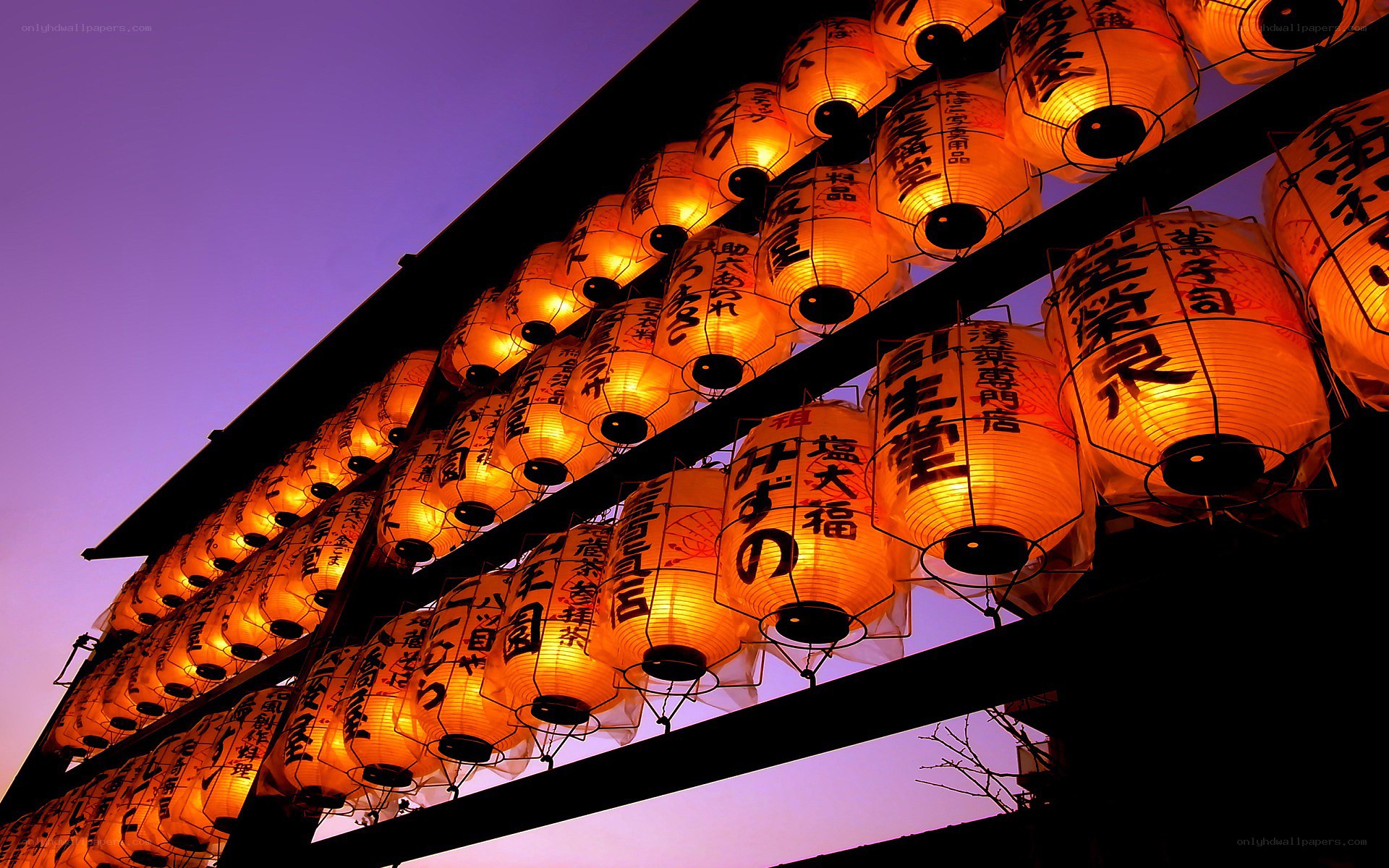 Japanese lanterns at dusk