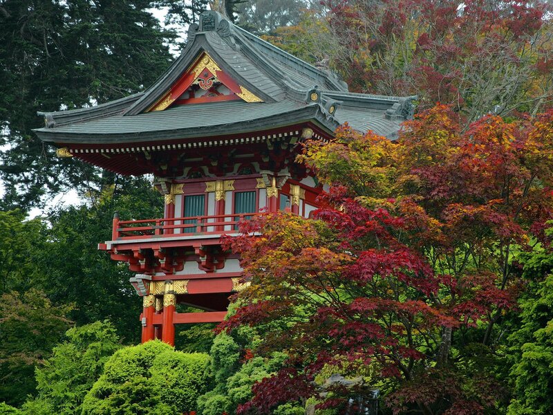 Japanese pagoda in autumn