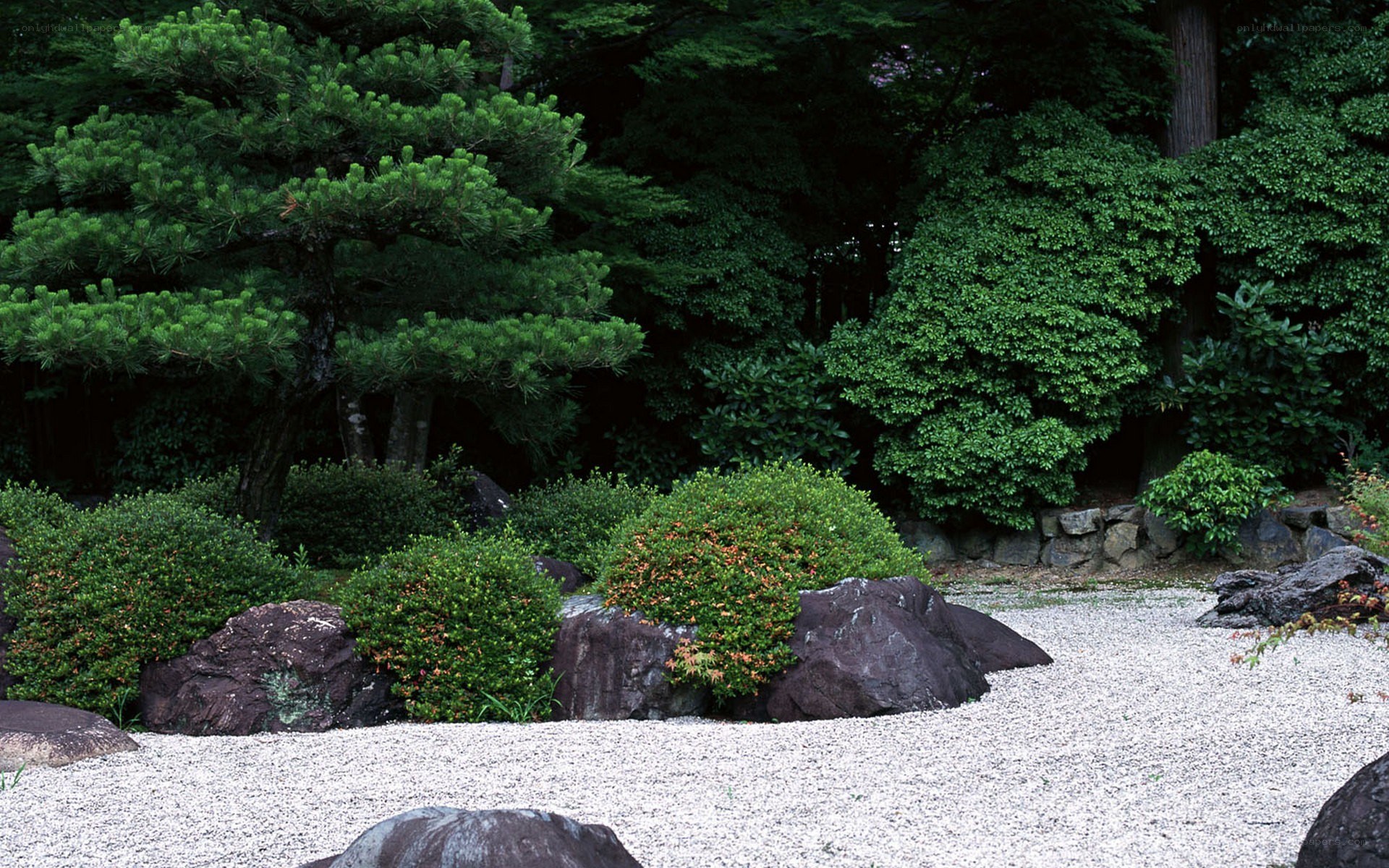 Japanese rock garden scene