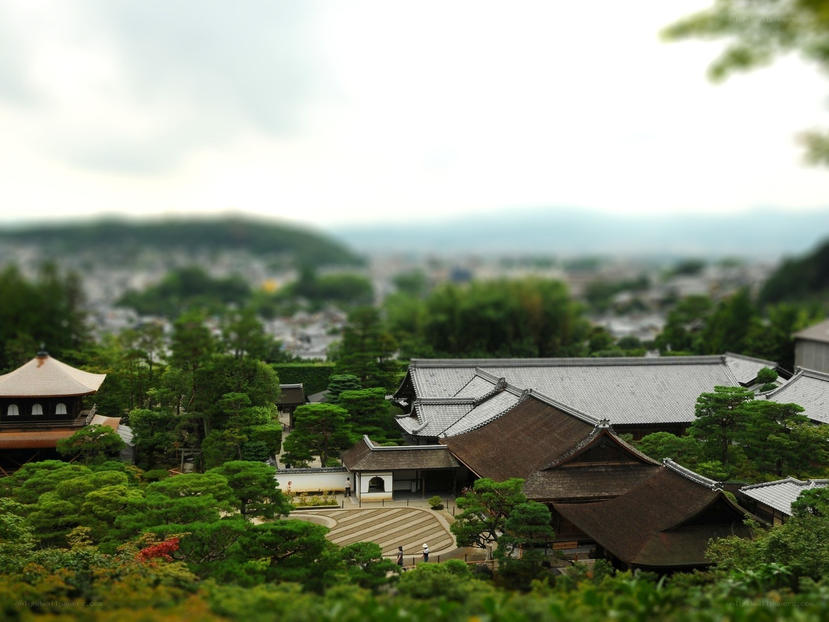 Japanese temple garden view