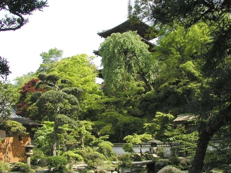 Japanese temple garden with pagoda