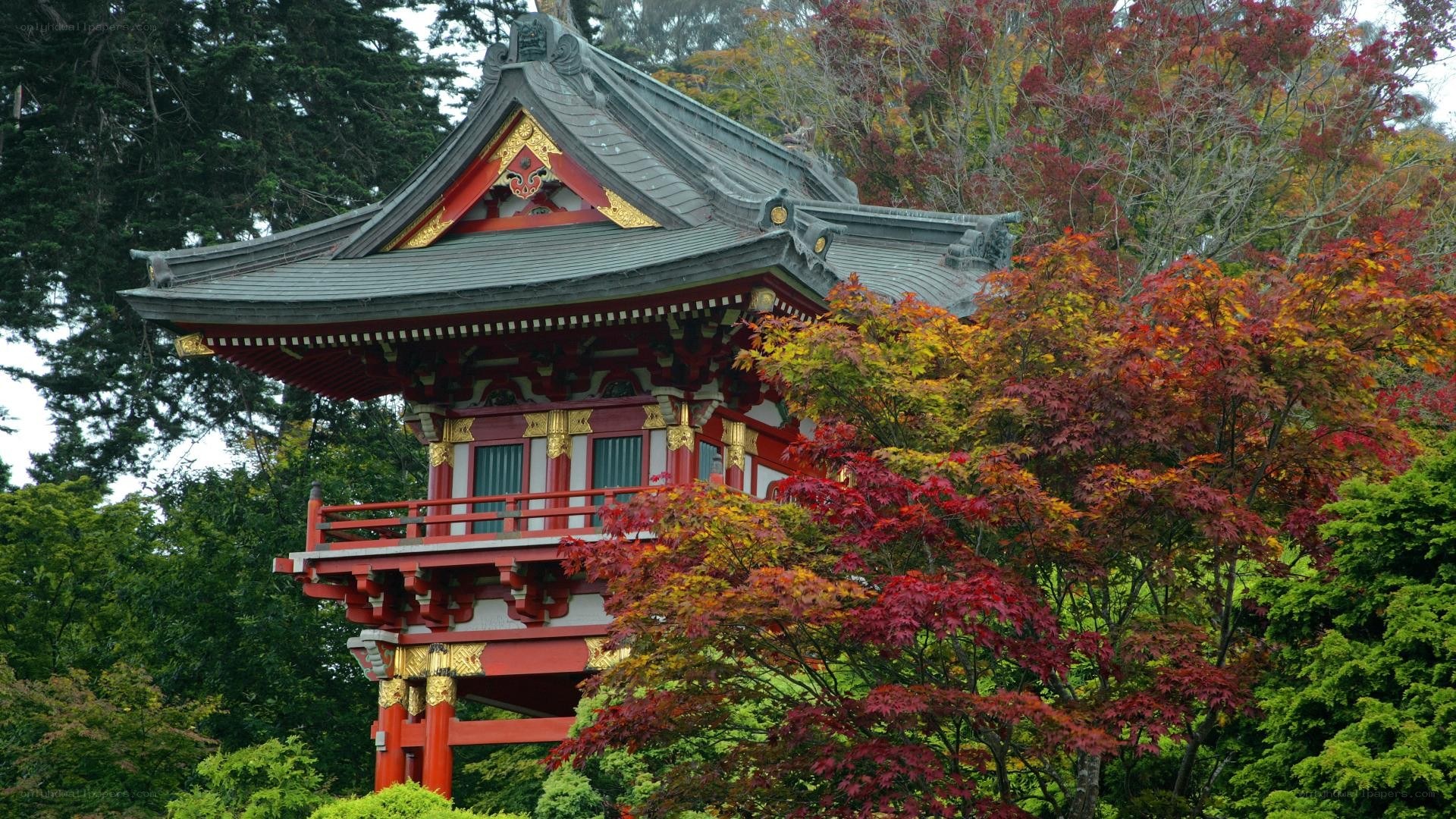 Japanese temple in autumn