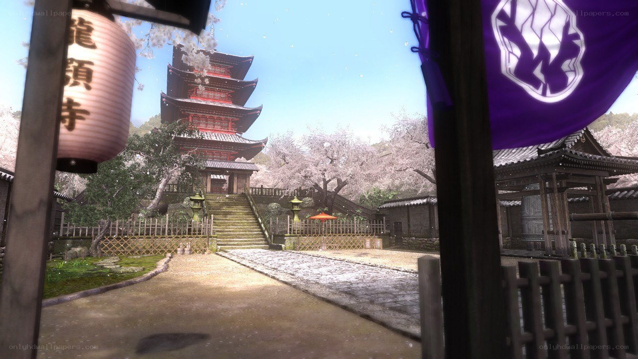 Japanese temple with cherry blossoms