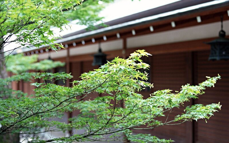 Japanese temple with green leaves