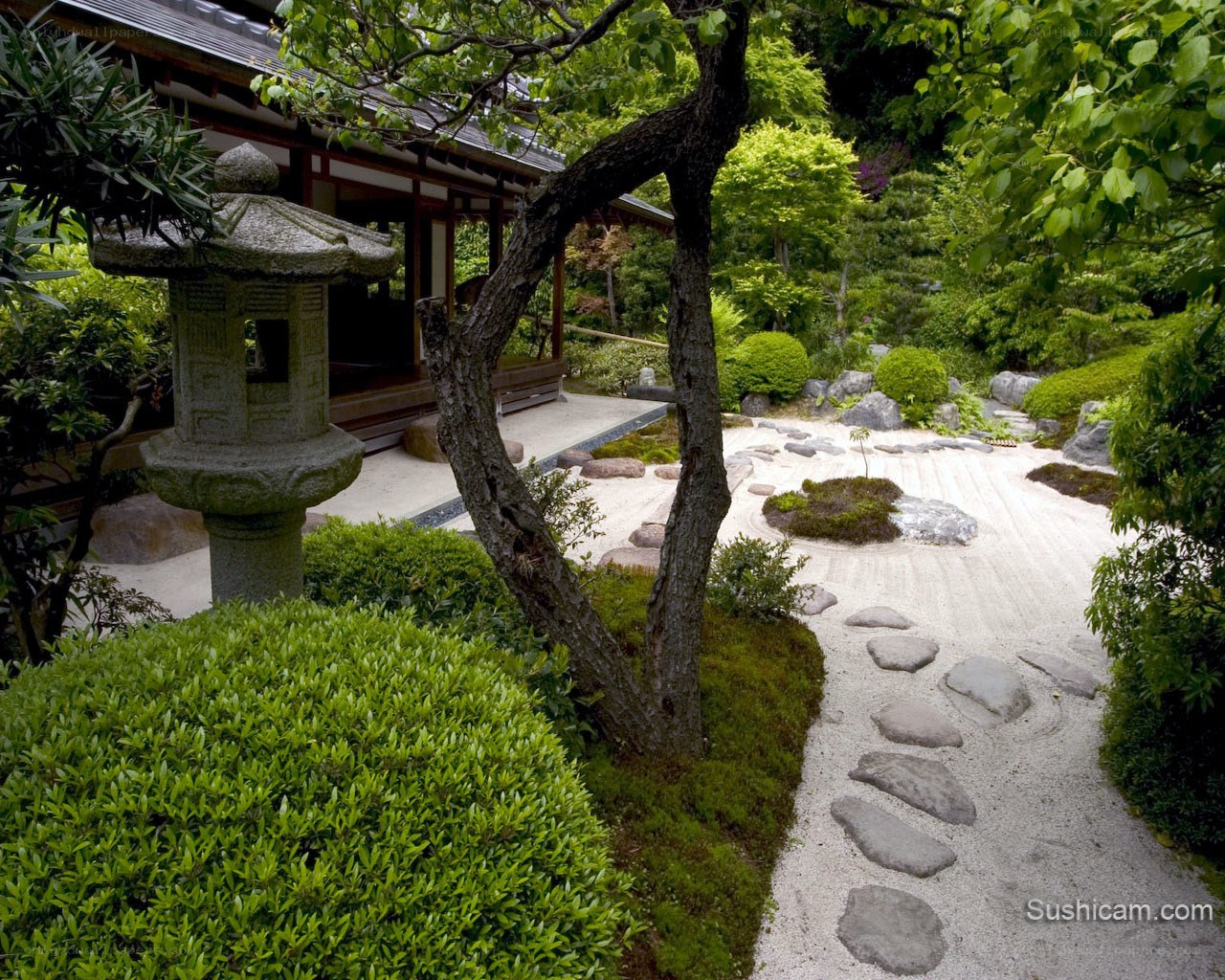 Japanese Zen garden with stone lantern