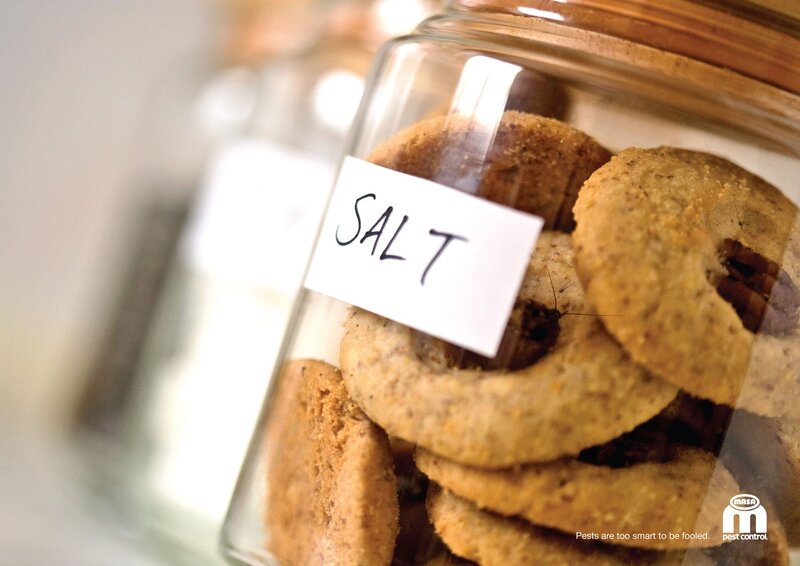 Jar of cookies with salt label