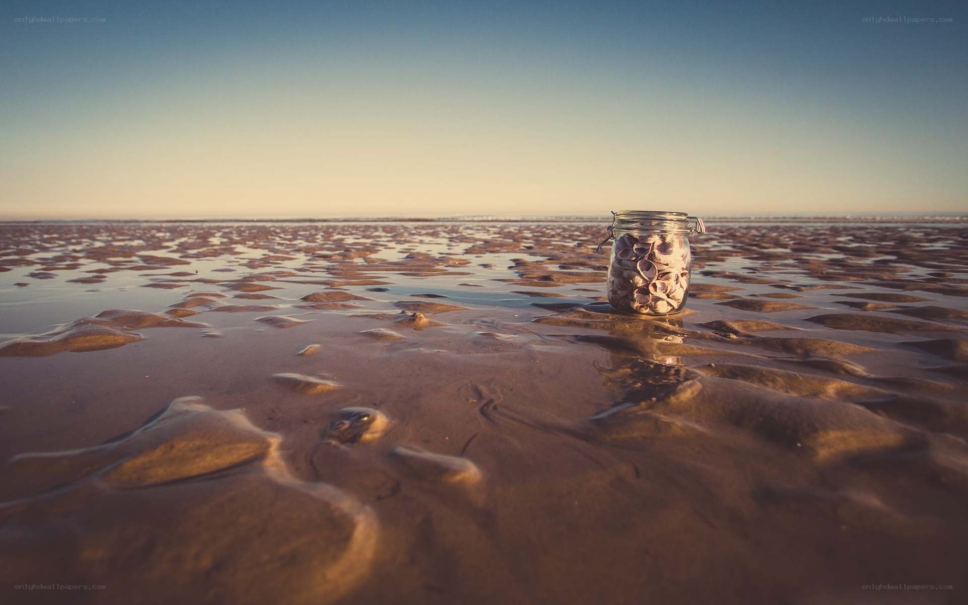 jar of shells on beach