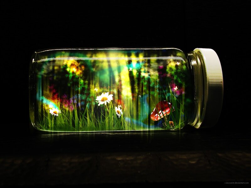 jar with miniature garden