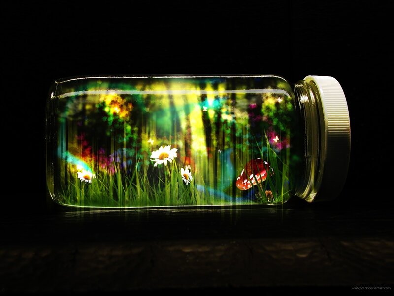 Jar with Miniature Garden — Green, Magical