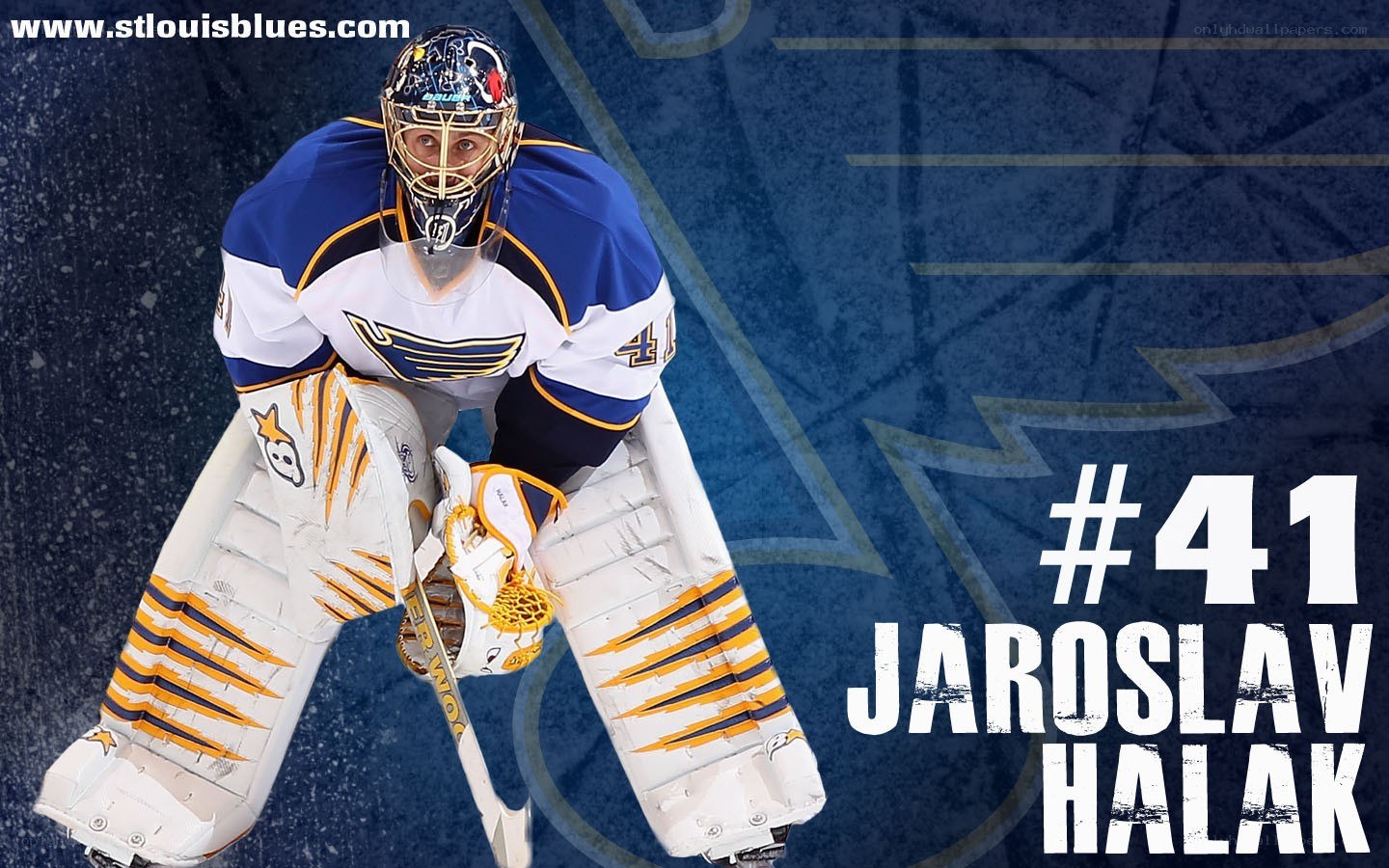 Jaroslav Halak hockey player