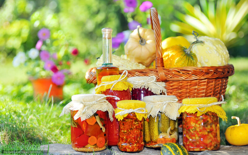 Jars of Pickled Vegetables — Green, Serene, Summer