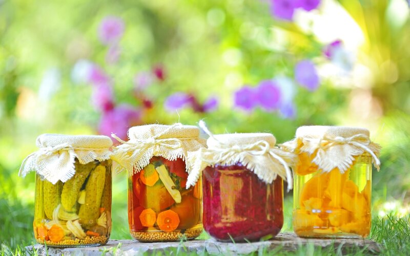 Jars of Pickled Vegetables — Green, Serene