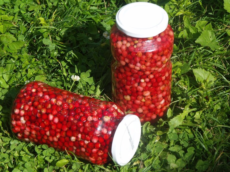 Jars of Preserved Berries