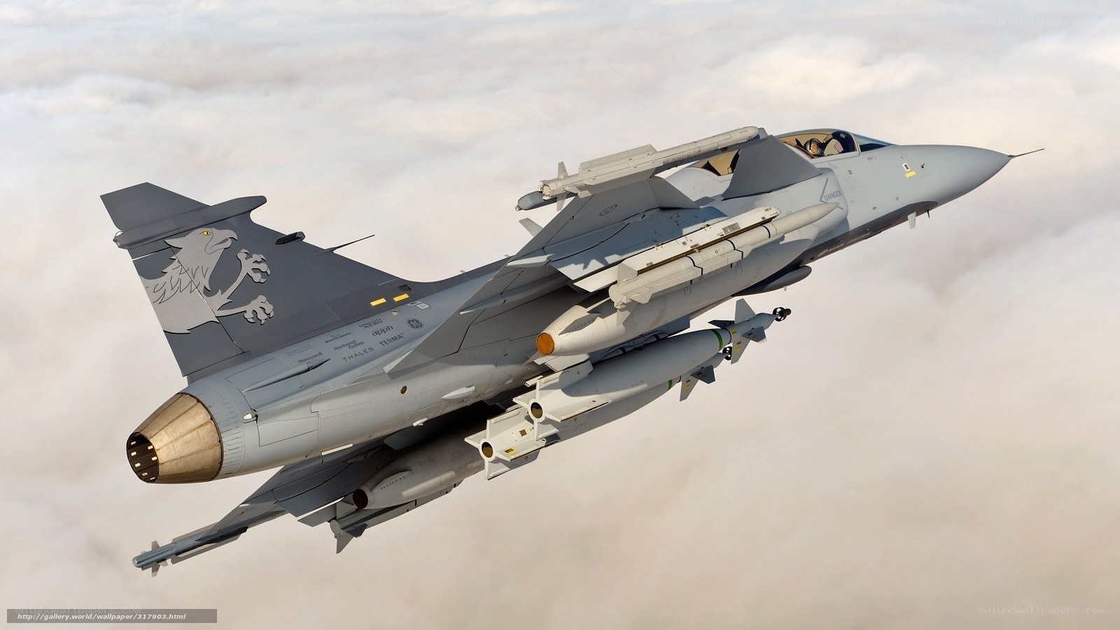 JAS-39 Gripen fighter jet