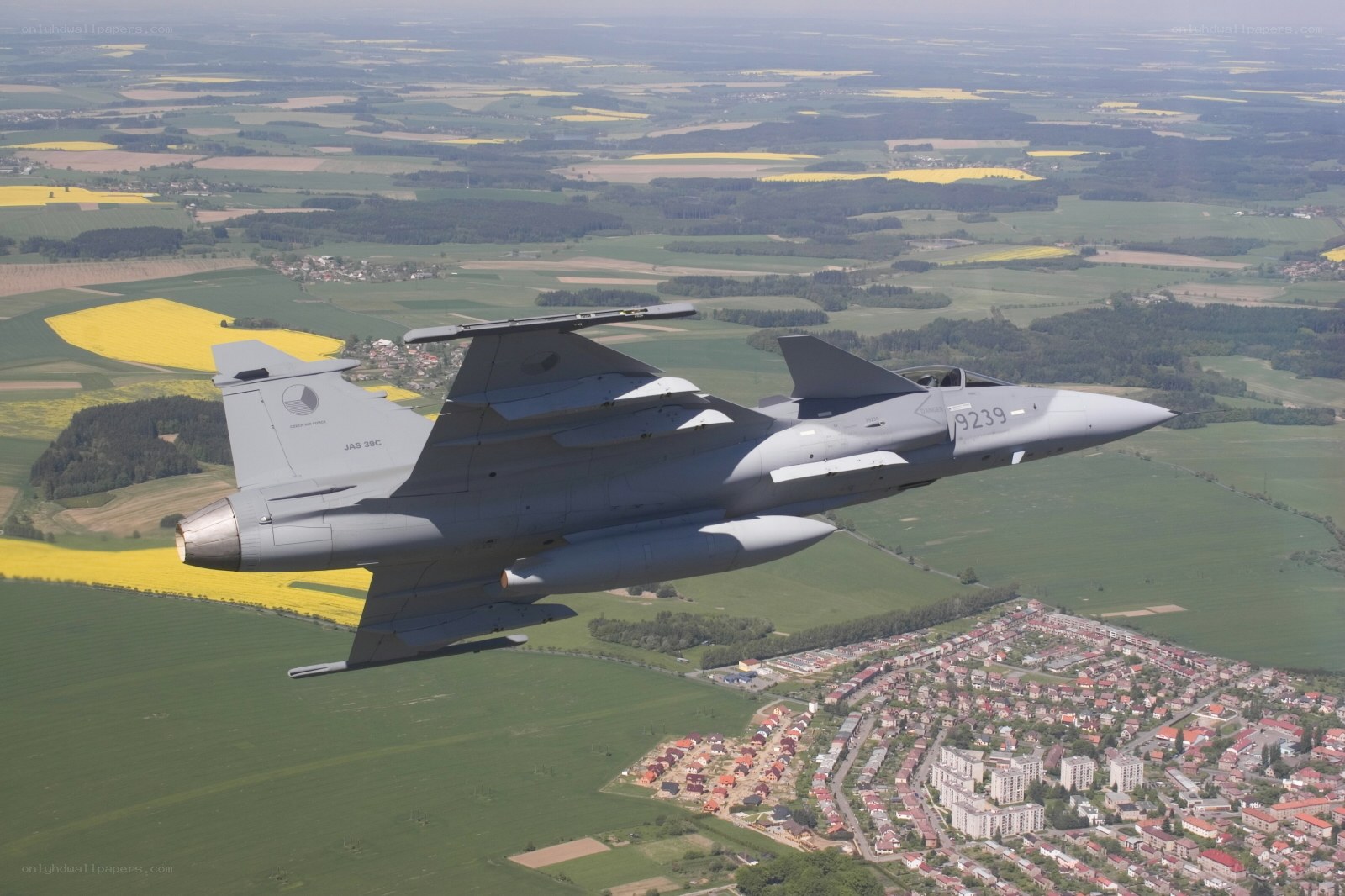 JAS-39 Gripen in flight