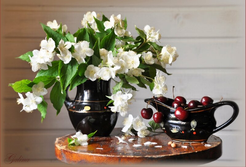 Jasmine and Cherries