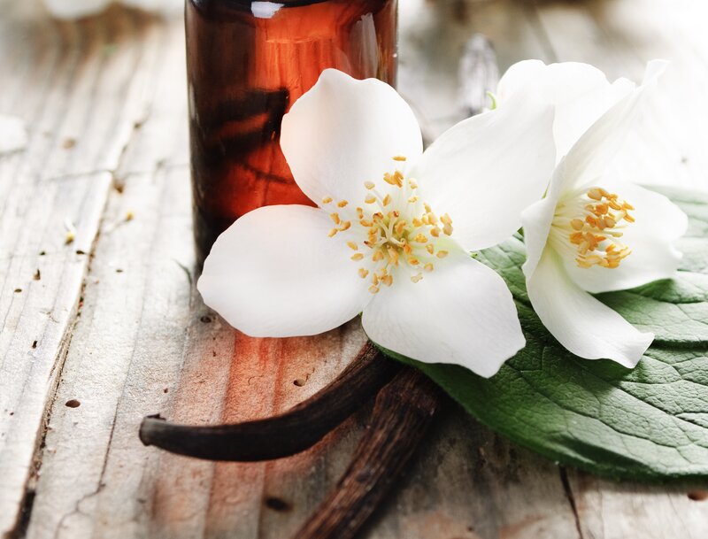 Jasmine Flowers and Vanilla Beans