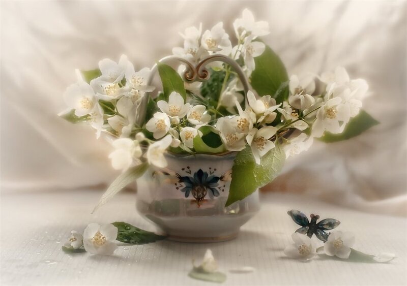 Jasmine Flowers in Basket — White, Serene