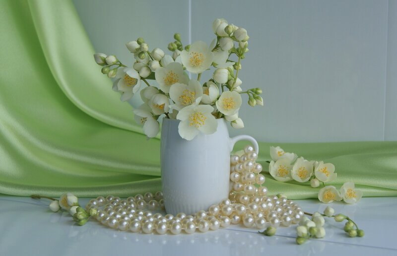 Jasmine Flowers in Vase — White, Serene