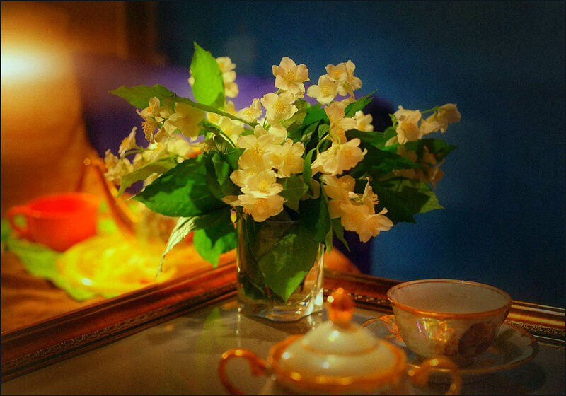 Jasmine Flowers in Vase — Yellow