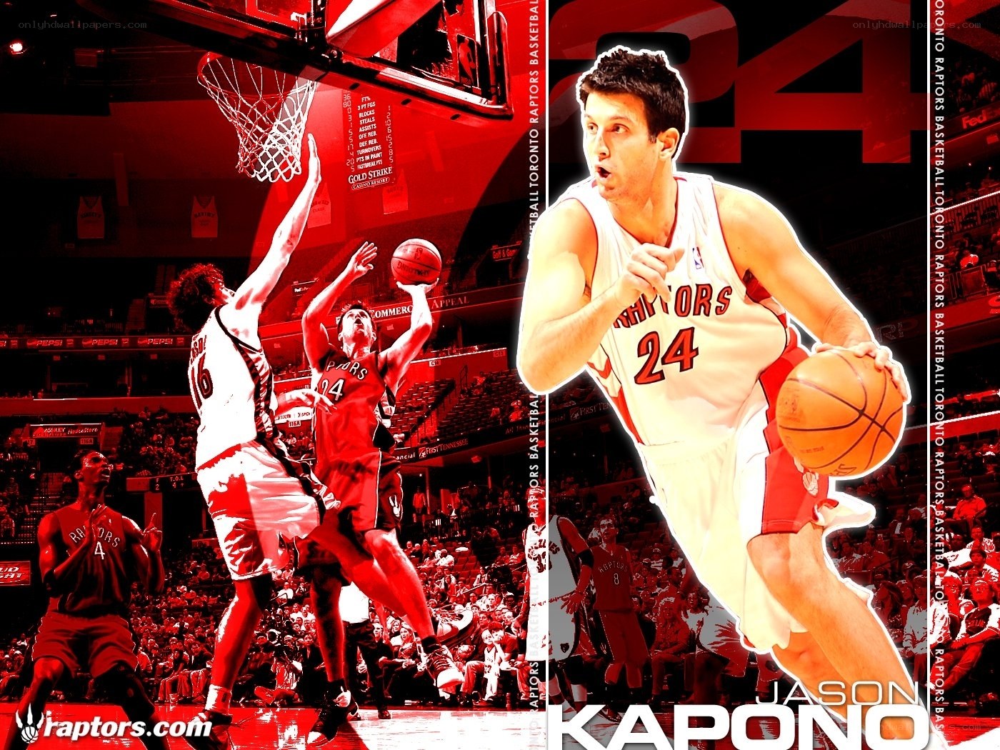 Jason Kapono Raptors action