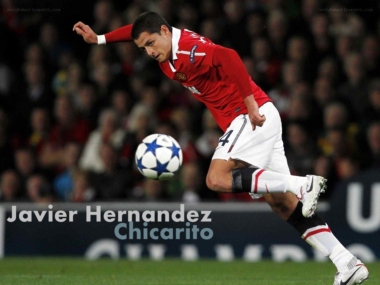 Javier Hernandez playing football