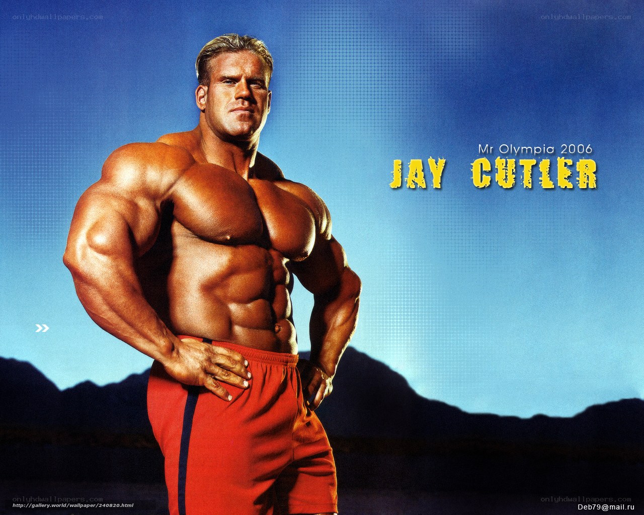 Jay Cutler Mr. Olympia 2006