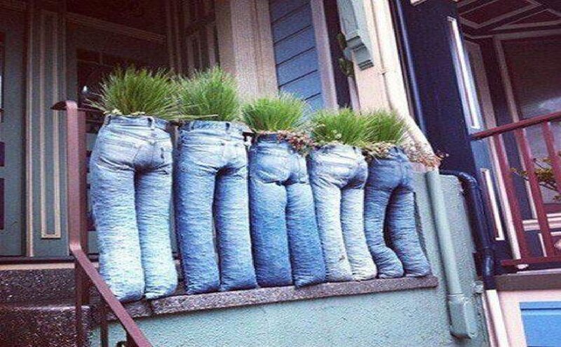 Jeans as Planters