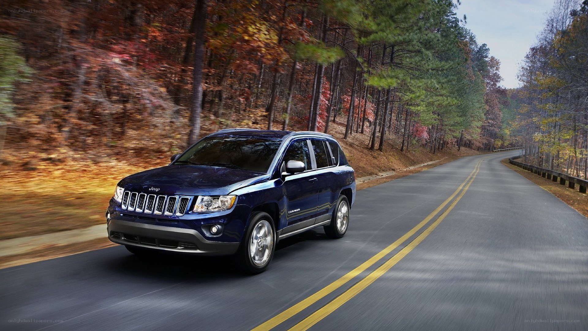 Jeep Compass on a forest road