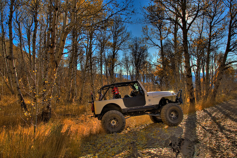 Jeep in autumn forest