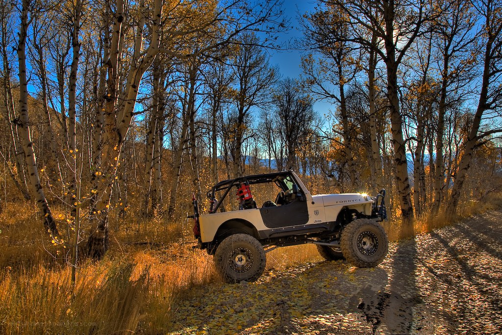 Jeep in autumn forest
