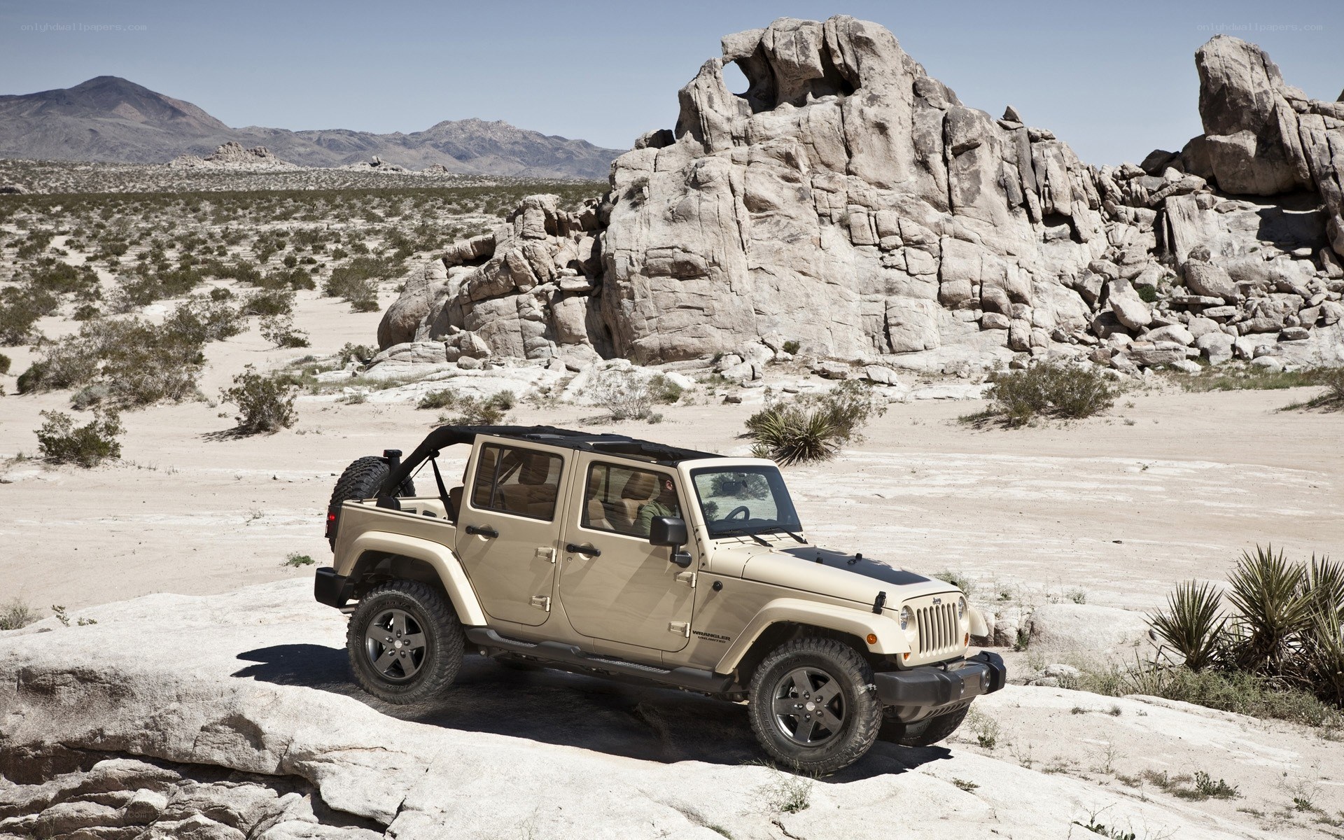 Jeep in desert landscape