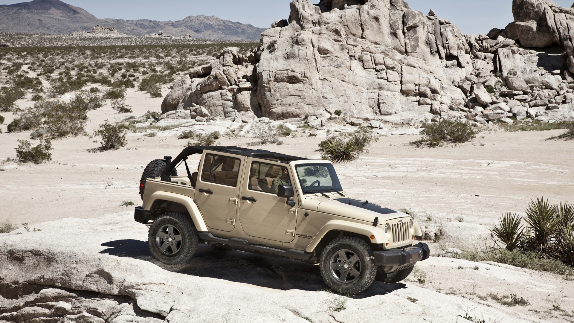Jeep in desert landscape