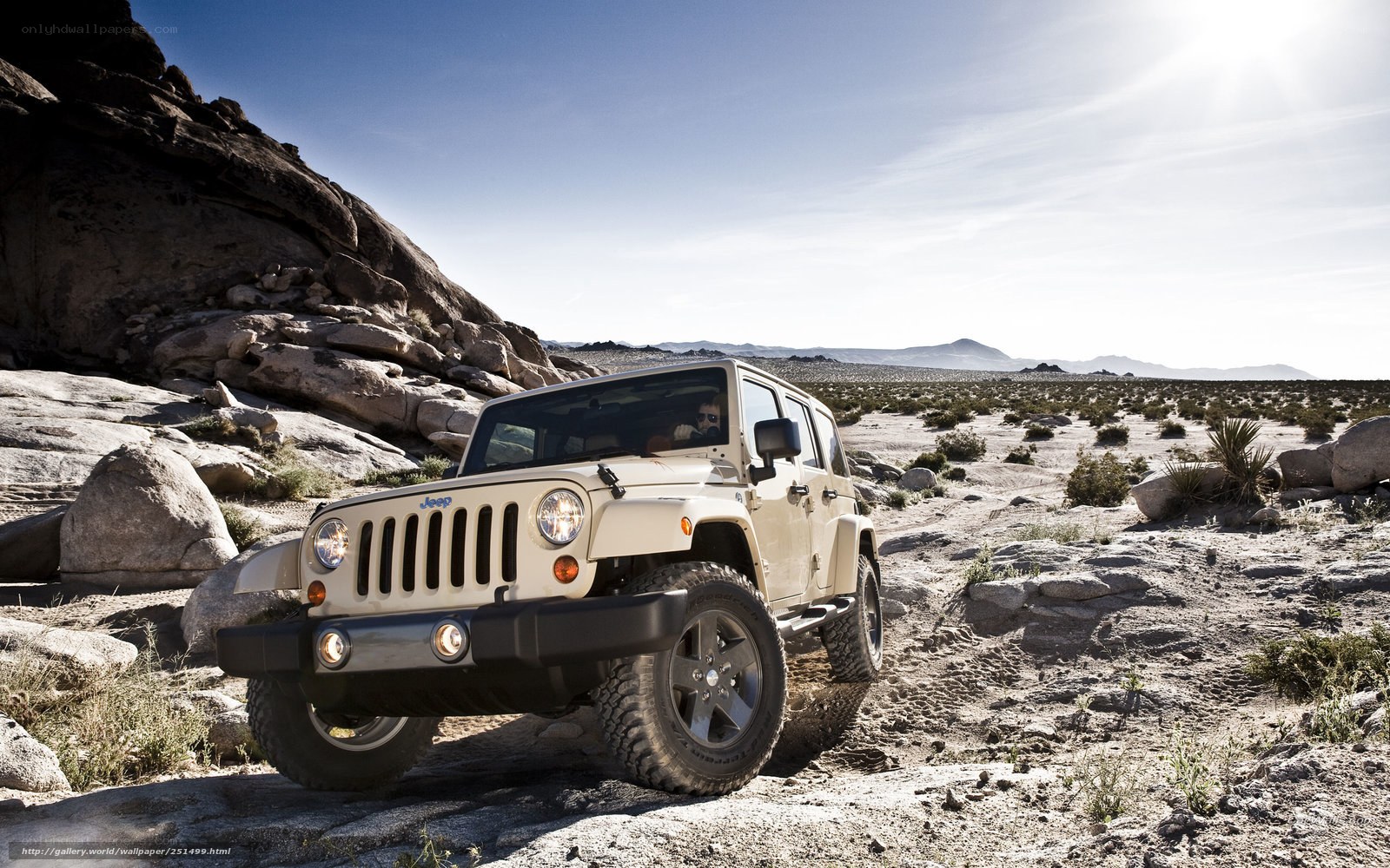 Jeep in desert landscape