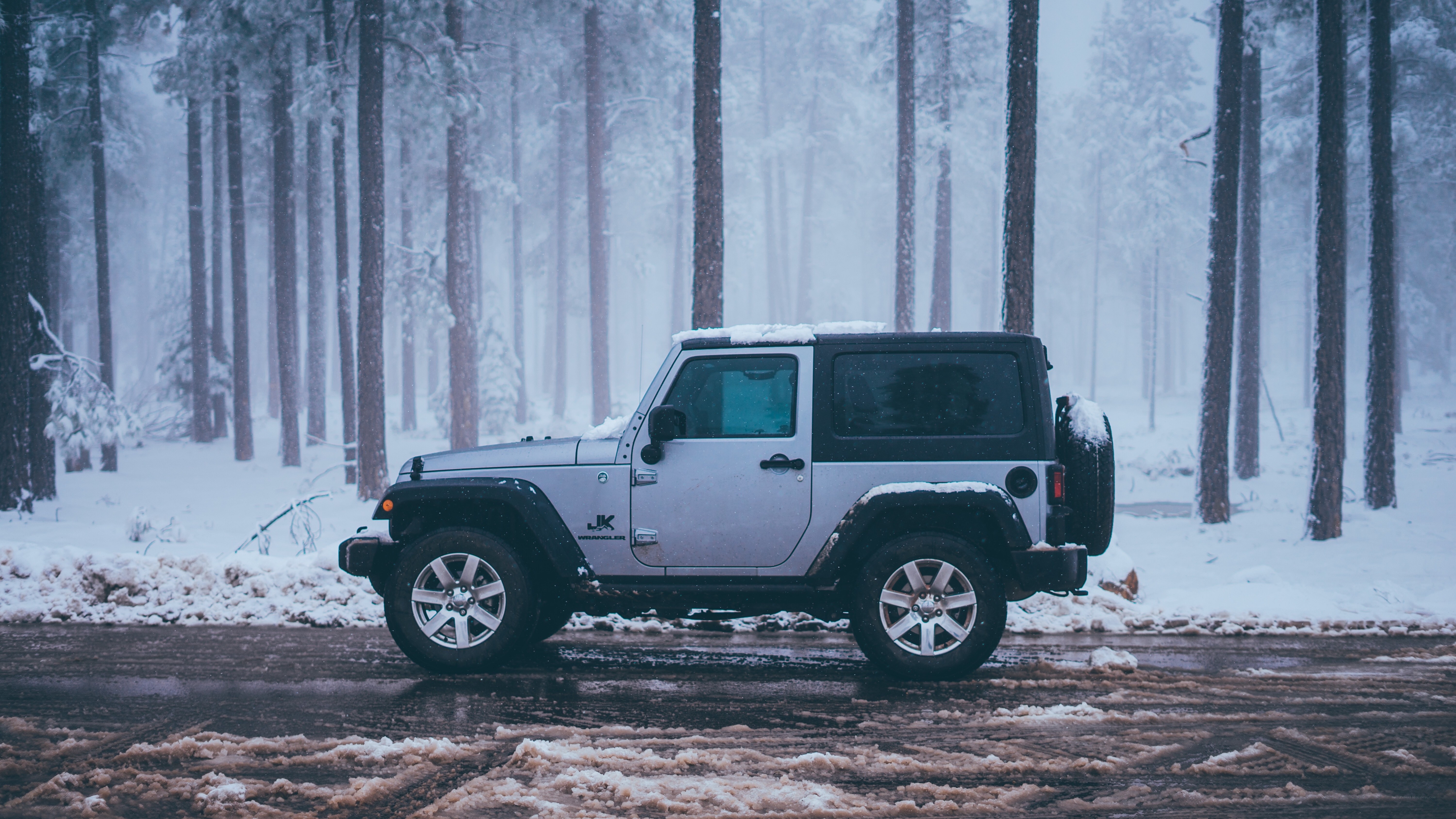 Jeep in snowy forest