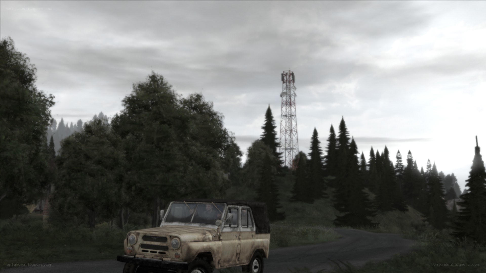 jeep on a forest road