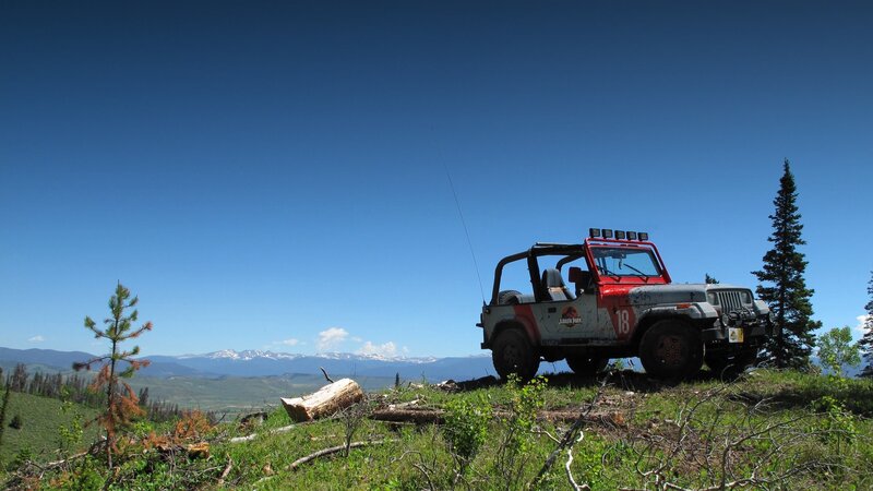 Jeep on a Hillside