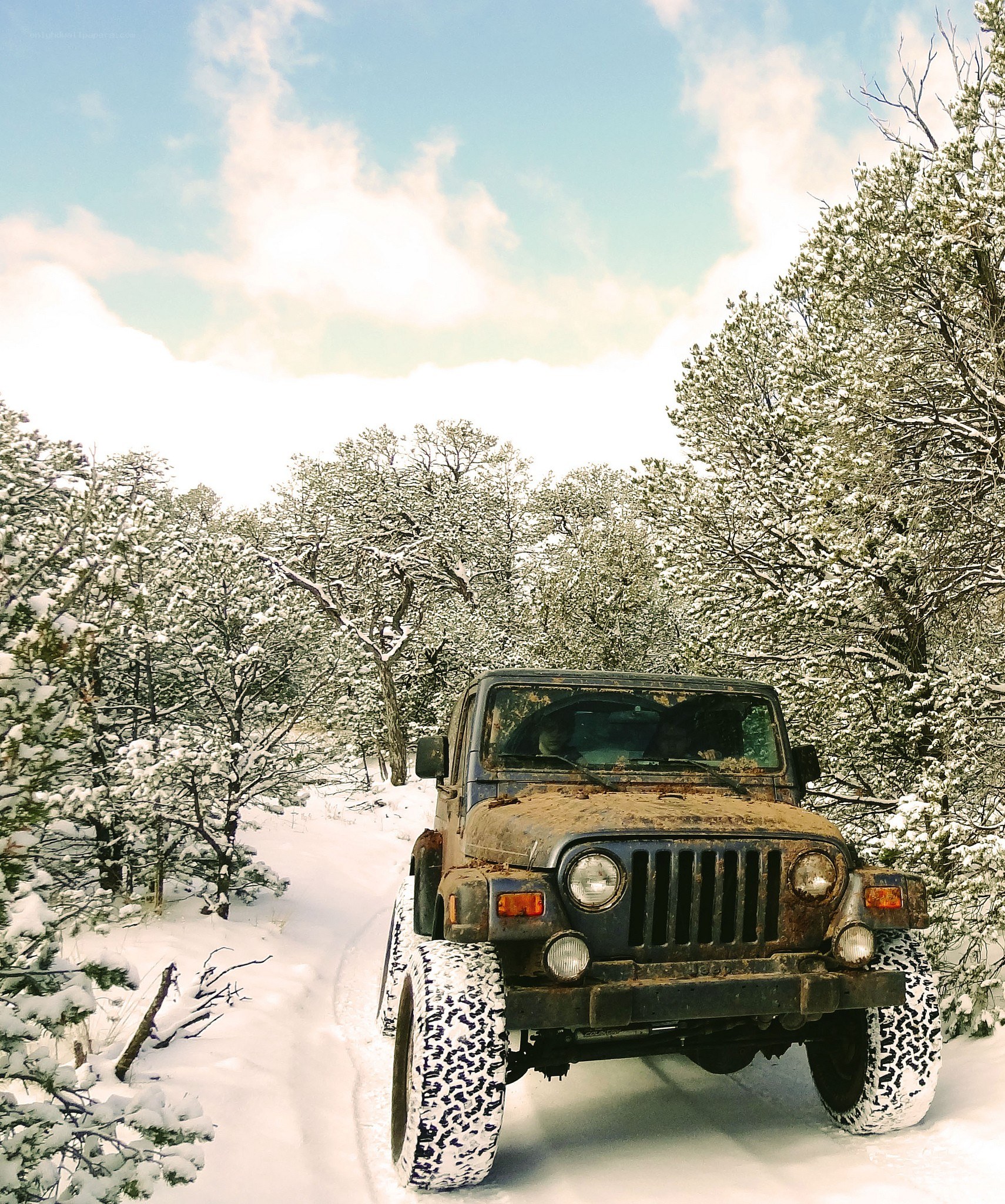 Jeep on snowy forest trail